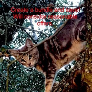 All reasonable offers considered.